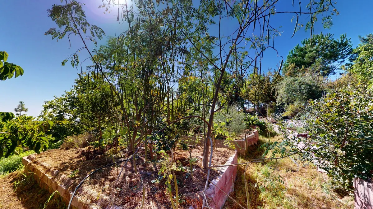 49a2c920-f6fc-4ae9-9d81-07b9eb4ed9ca