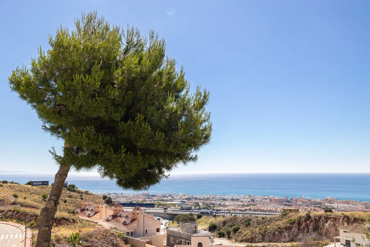 20ea92ce-18a2-4795-bfda-bd7ec7ed4592