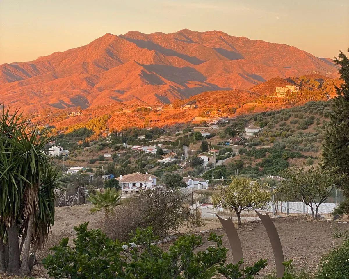 00d093e4-bd0b-48c9-8862-1a88a57a0864