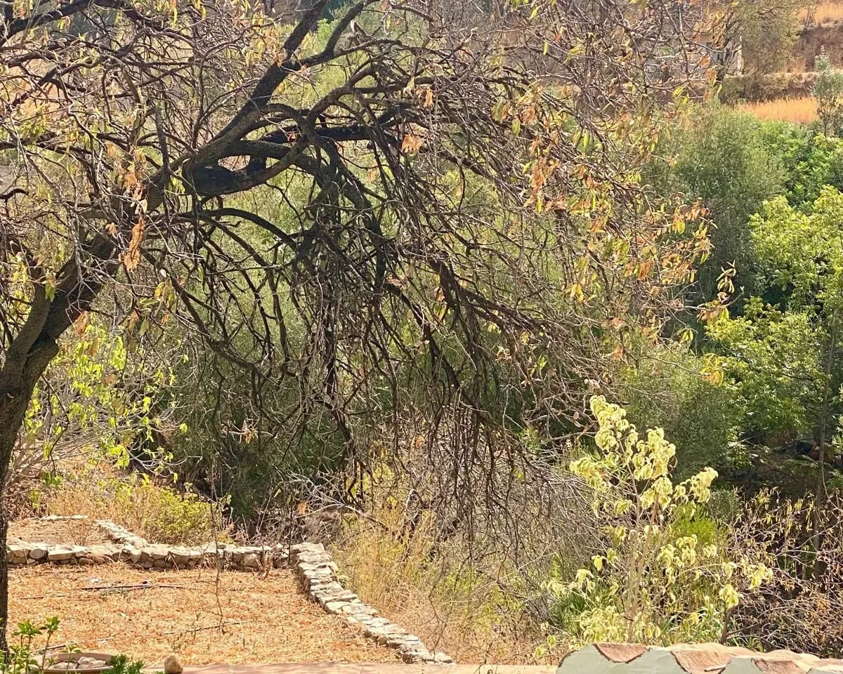 051e895a-54a1-4f9f-8611-12785328edff