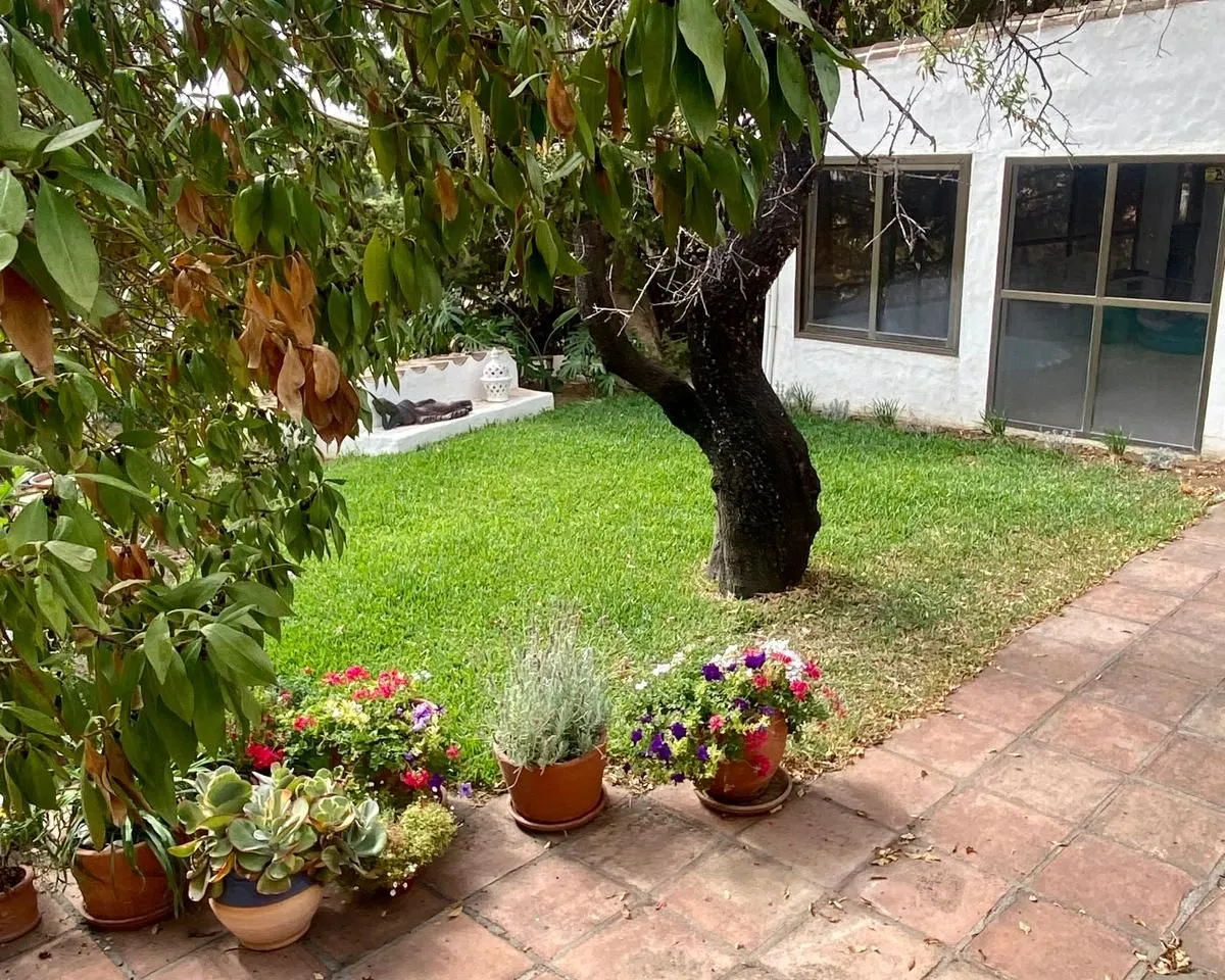 146f8f4e-d725-4a7c-a7d3-dd775041ae44