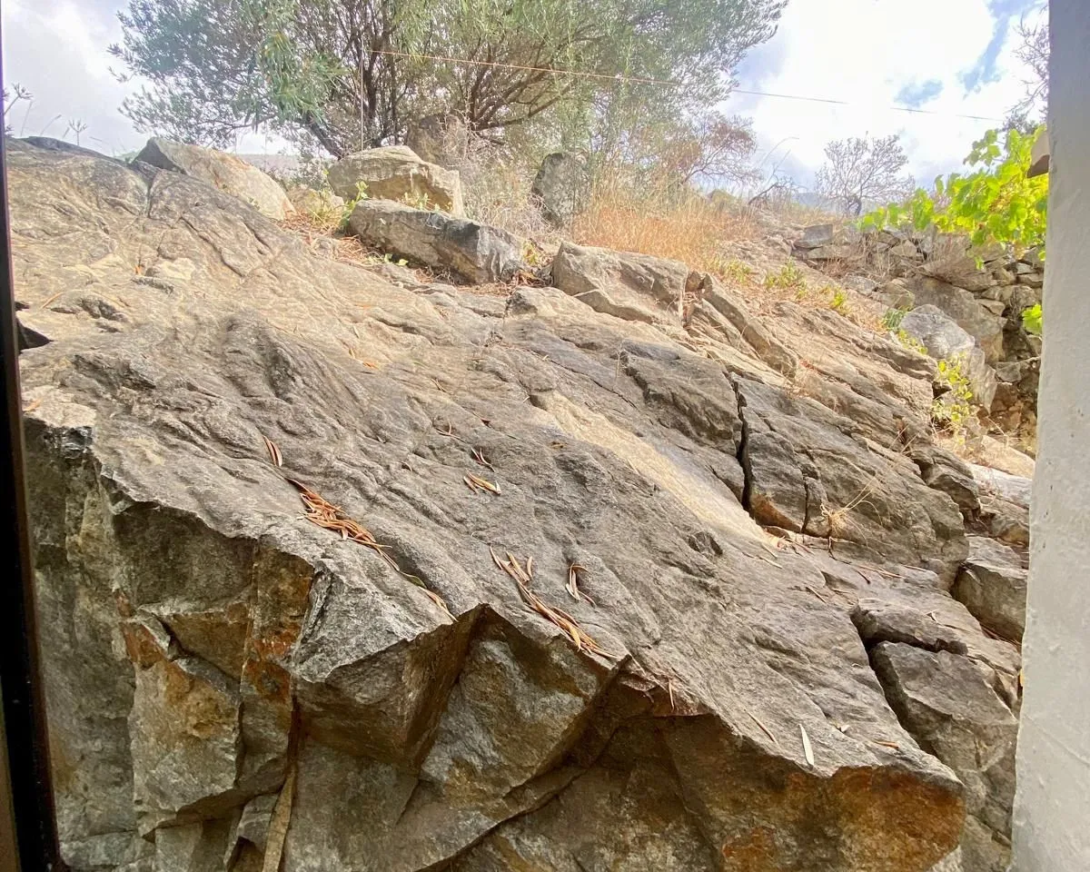 19b7ee02-6e58-4742-8861-899e20f80ed2