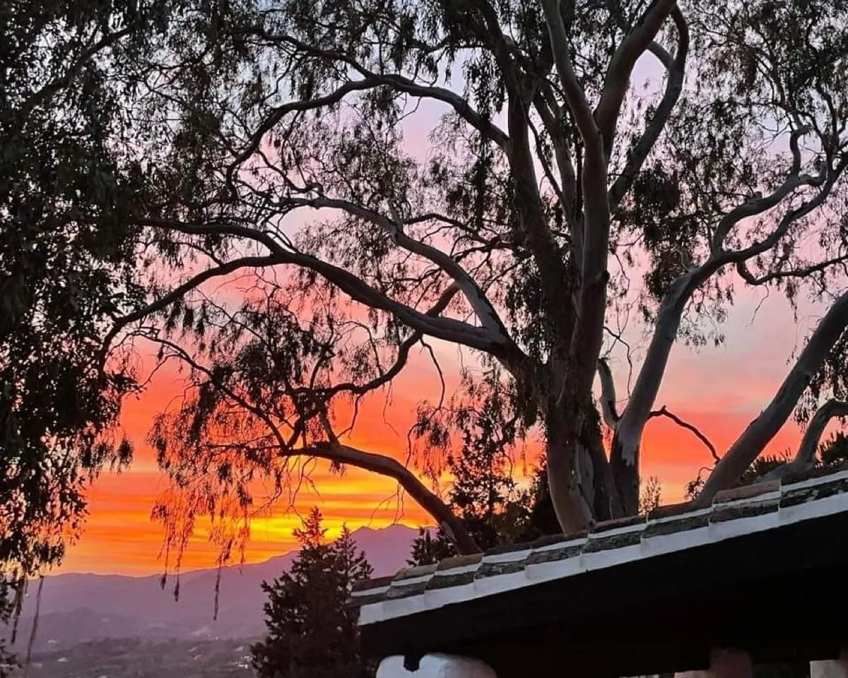 594f02bb-3544-48c6-90e6-3a8cba1276ae