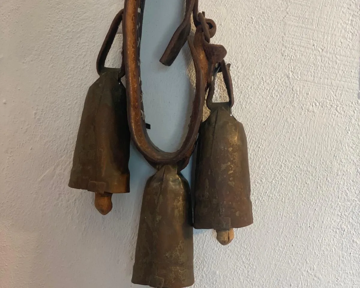 5fd9f822-d83c-4bb8-9788-dd5a841c1c1c