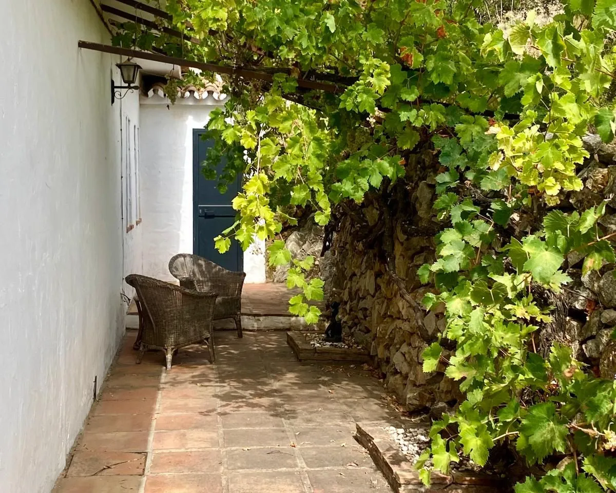 795c9f8e-a5d8-49c4-8ebe-ecfca9943539