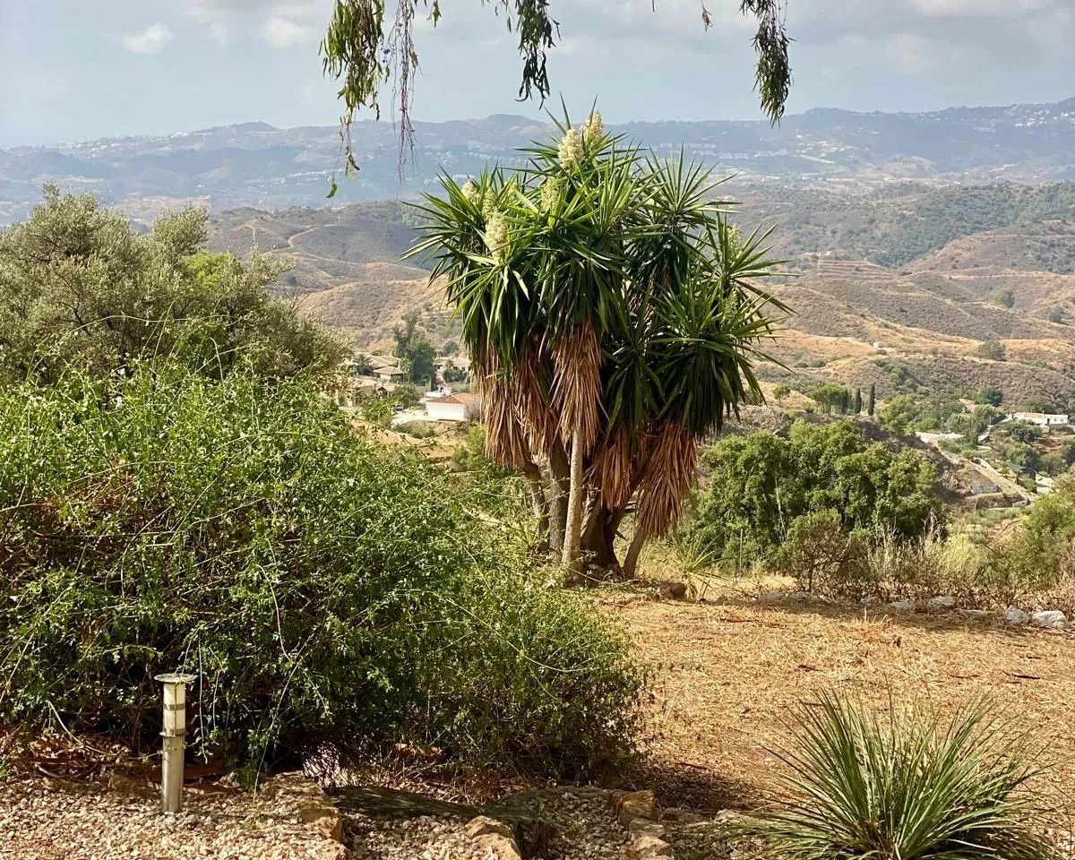 904b4fcd-cdde-4c97-83a9-eabdbfcd6dab