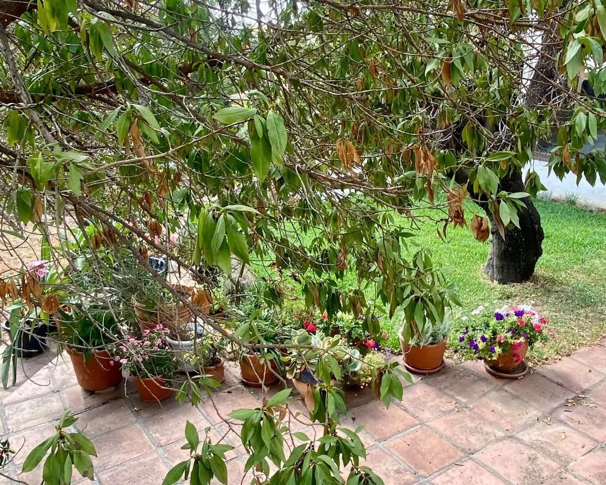 b4bfbc87-c975-4145-b5ab-5501b2d90103