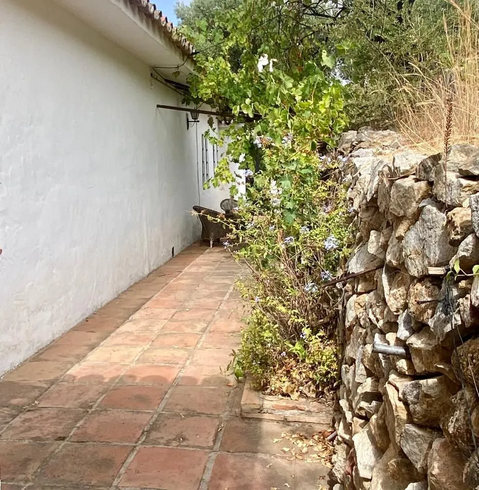 e3e923d8-de81-4cf2-bd3a-bfb0f7910269