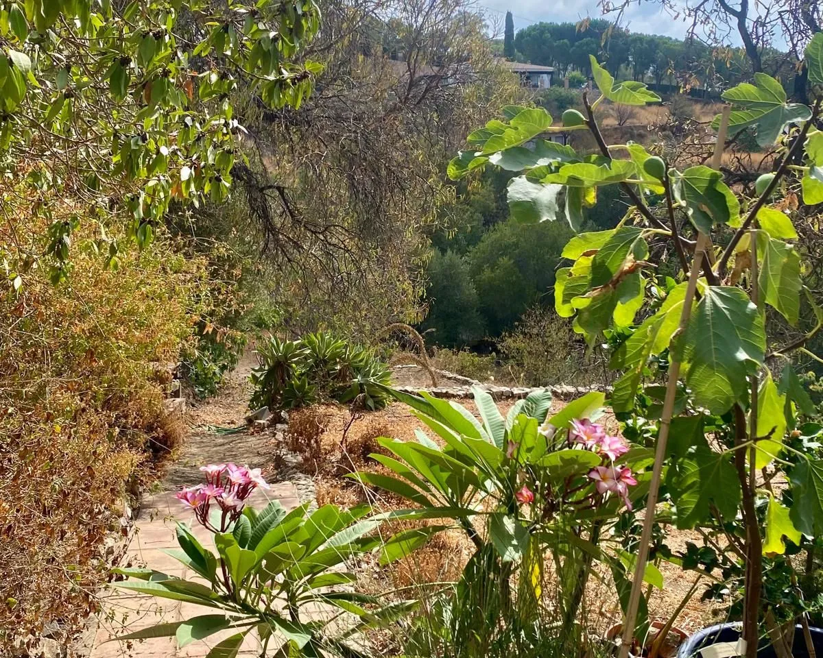 faaed28a-7a4e-4bc6-a2ae-288a3b726e7d