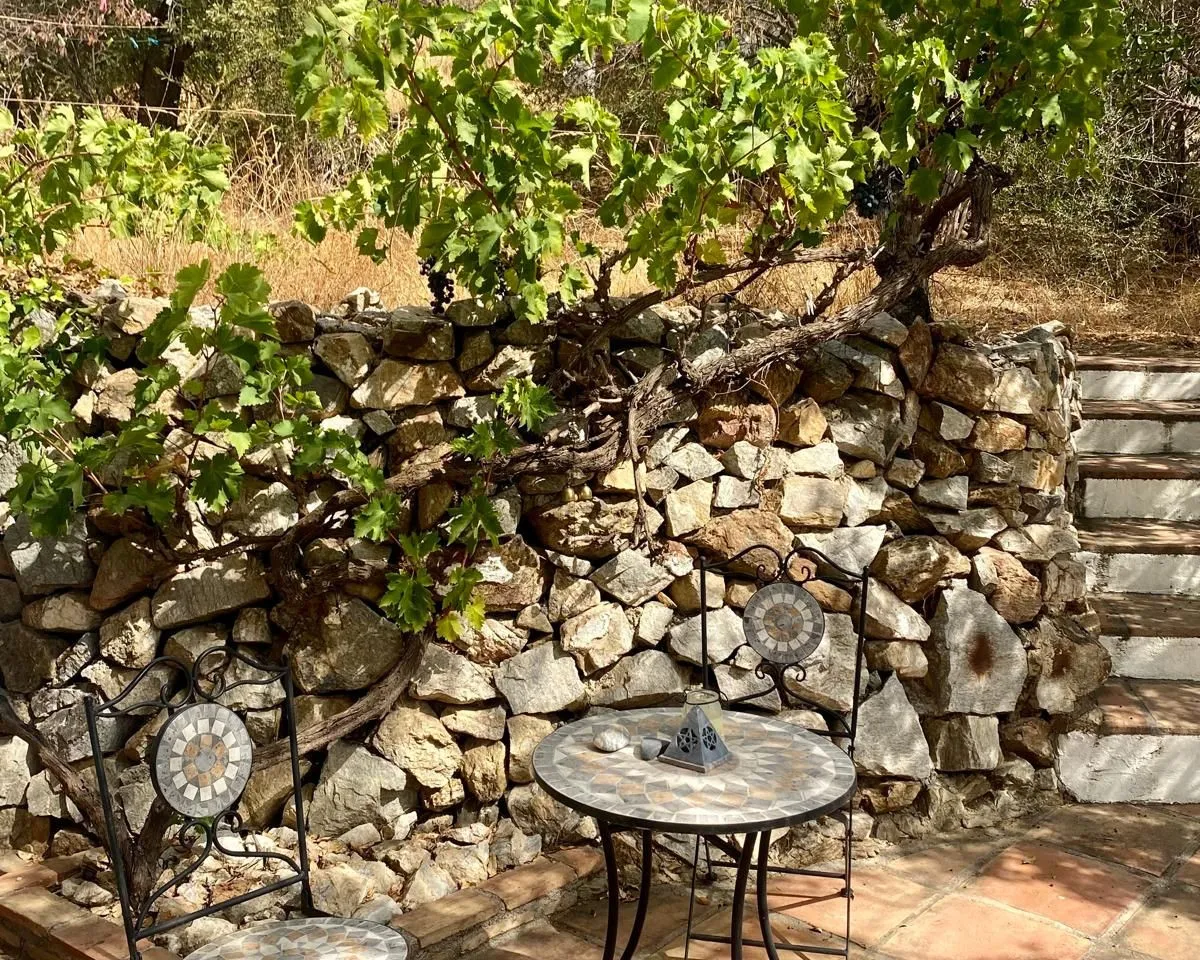 fac68be3-cf45-4990-81f7-12038bb1726f