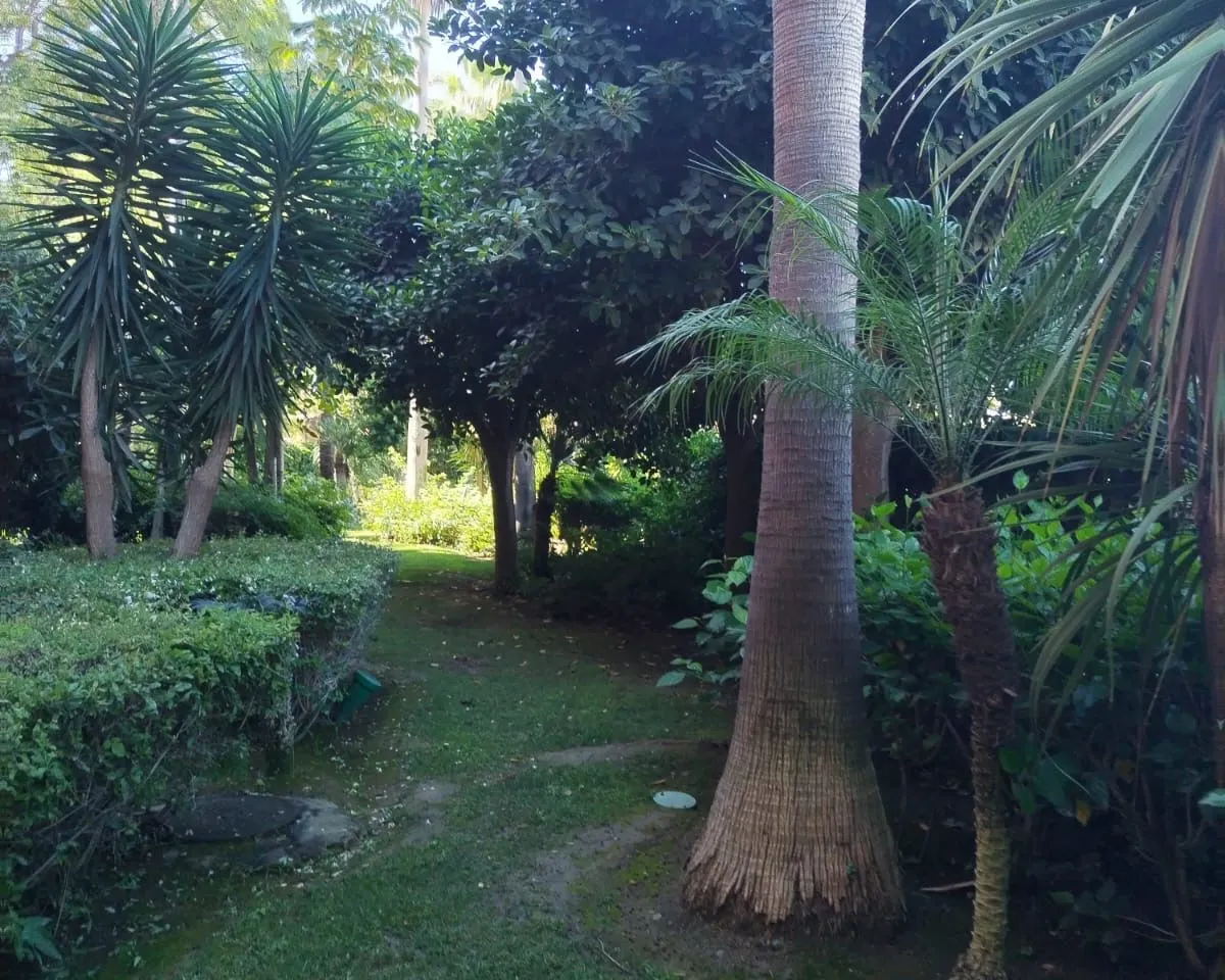 1fa125ac-3f10-48b4-9710-81c4701ead7f