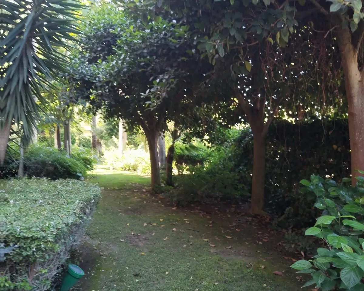 4fd3f2ba-b8e5-4b22-b898-e755e6c87d22