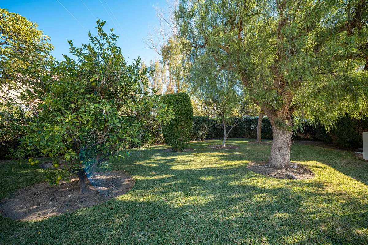 33036331-1941-4943-9a2b-3bb52da33ed2