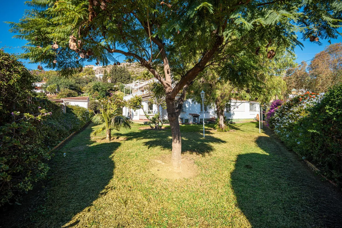 71669d99-635b-49b9-9782-71379d8a9a2d