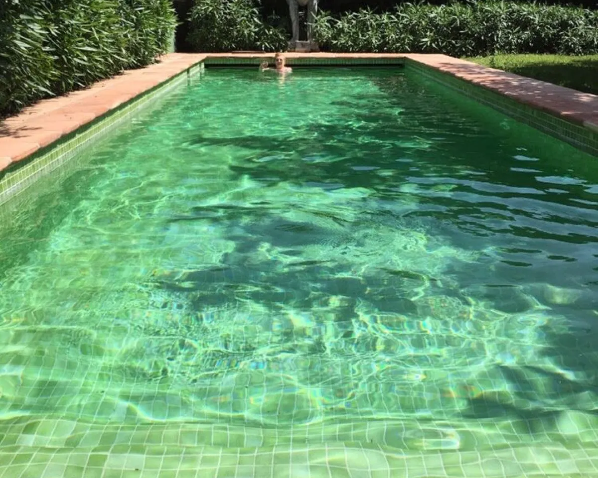 05e61b6c-e018-4a33-8d6f-40b13ffe5239