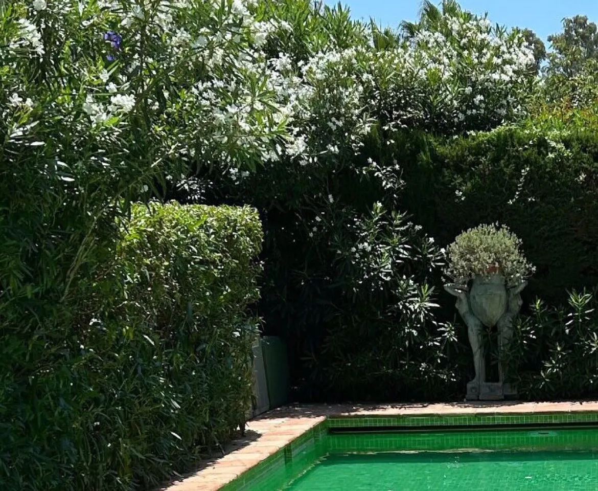 6cb5baca-e733-4f76-9453-2428feeca8ce