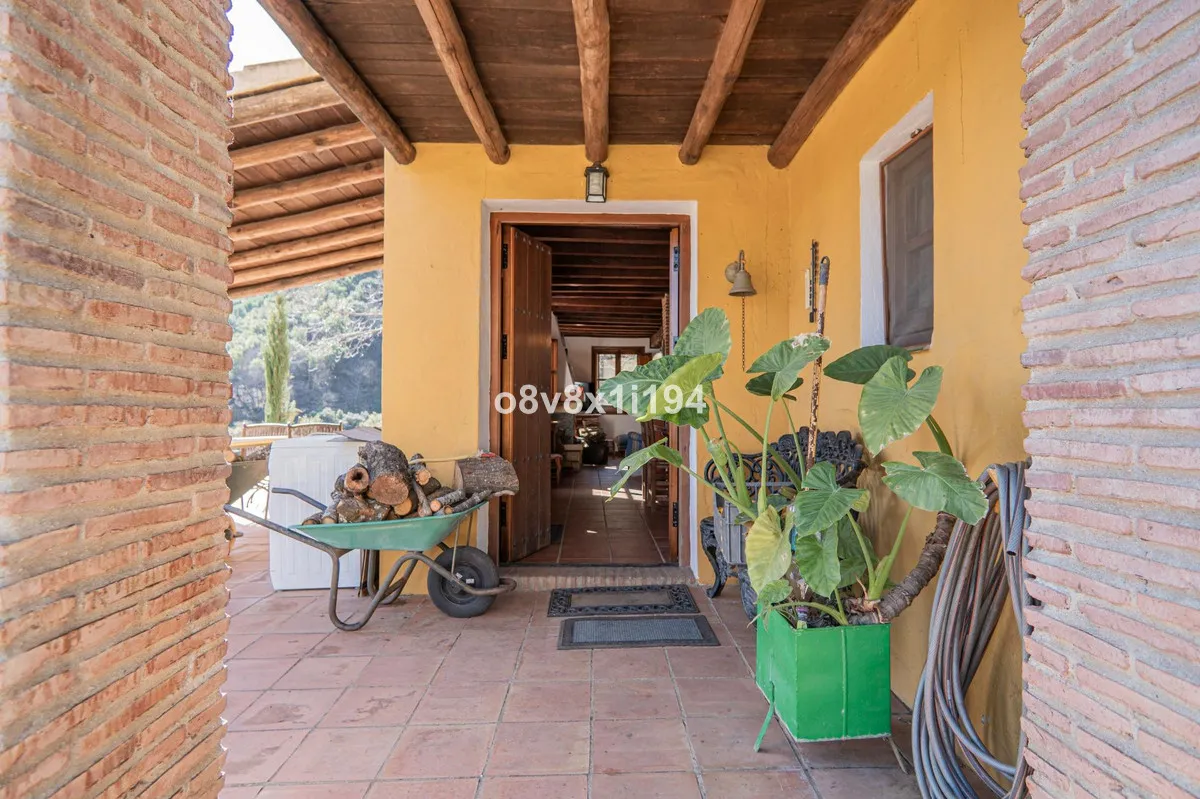 0335fca2-cce8-4692-956f-733698c0f93e