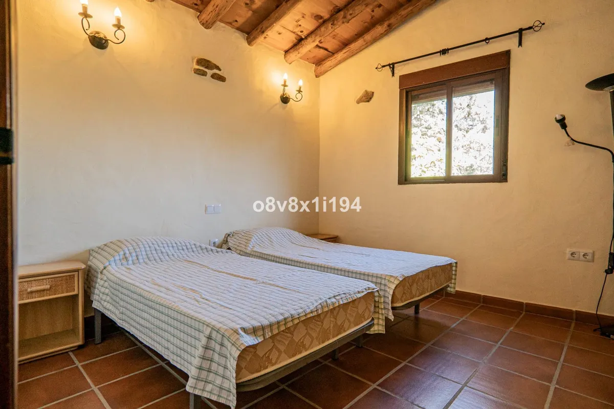 38293ba5-be54-4541-8643-b20439d9aea3