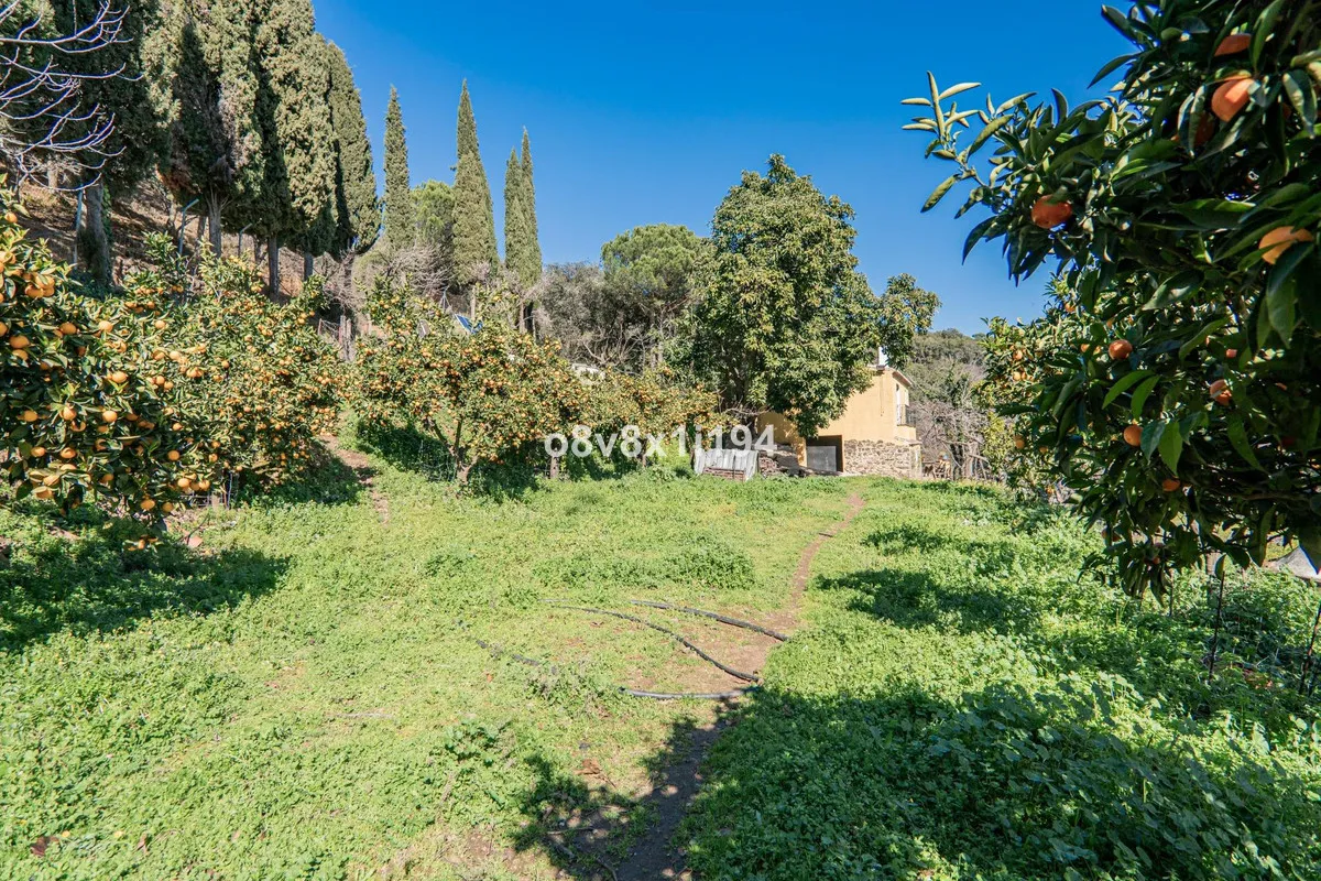 38f1e490-8ff7-4f65-90ec-fe6980496219