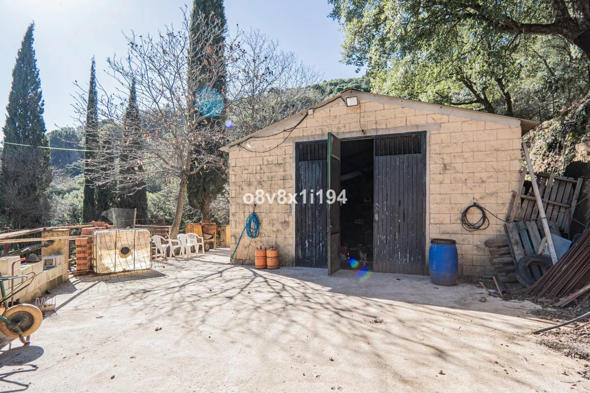 5b675e15-9959-4d15-a9f3-b2d5969fec65