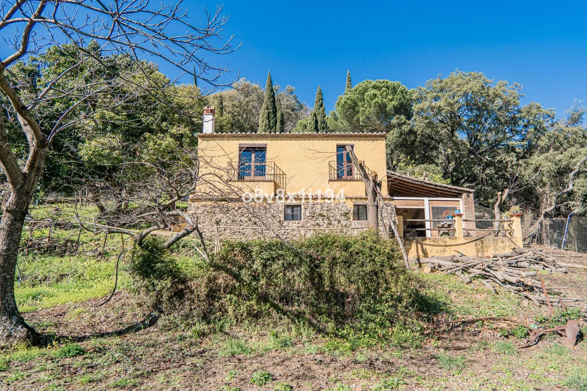 5be3ae9b-9269-4d7e-828e-c5d6f3991266