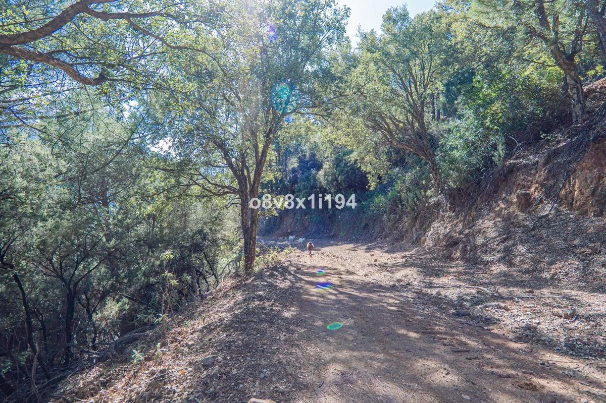 5f3f373b-bb4f-4837-af82-828cbf078e90