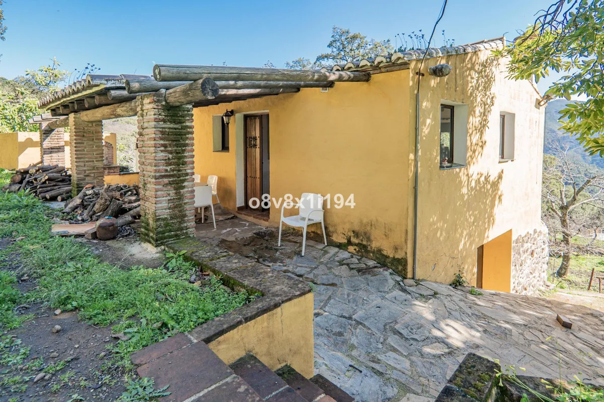 773fc342-b1b3-4505-bf2e-4c63ac5075af