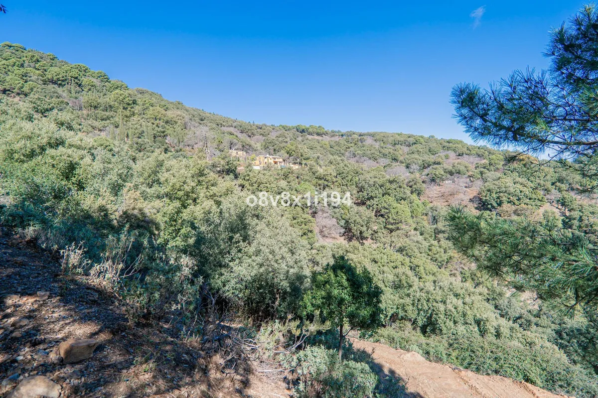 987e0f8d-3da5-4555-9cd3-be5223ed9bfc