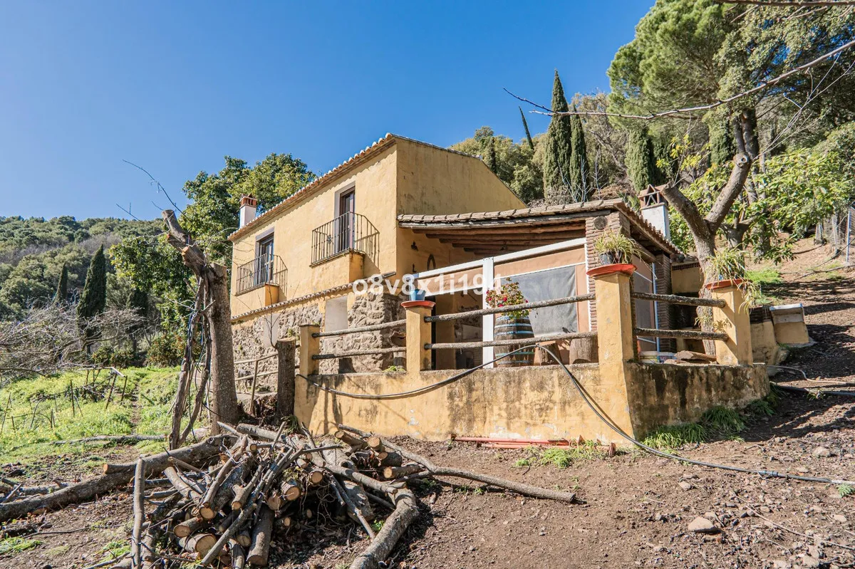 b078f929-385c-49a1-b46d-14436cde37e0