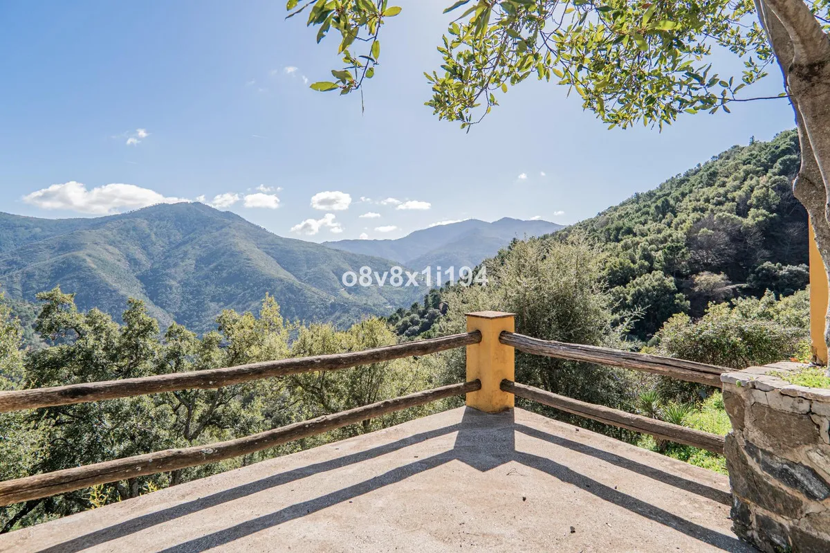 f9a8a826-e8c1-4158-bc47-b3cbcfac86d7