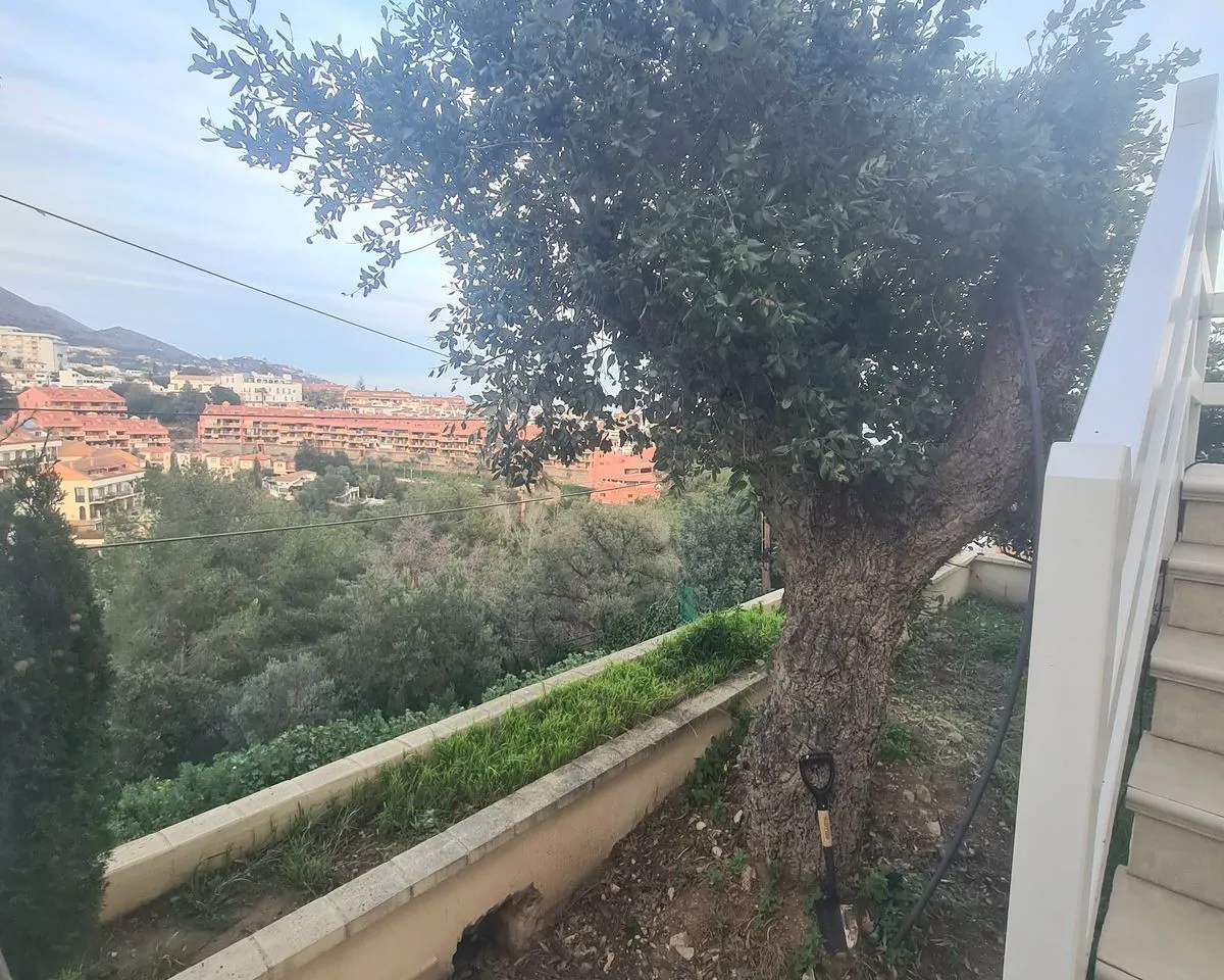 15ce9b71-3e11-4b82-b003-efba4af5705d