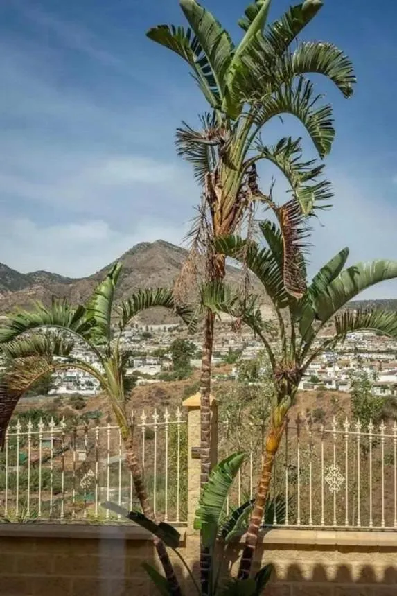 efd40980-fe9a-43ac-9f1e-0353591f2ff0