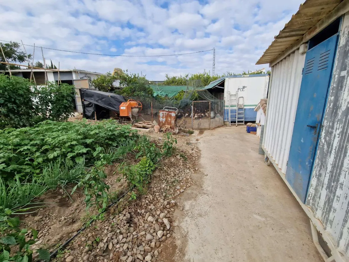 53152134-f355-4289-9fa4-6b631668acf2