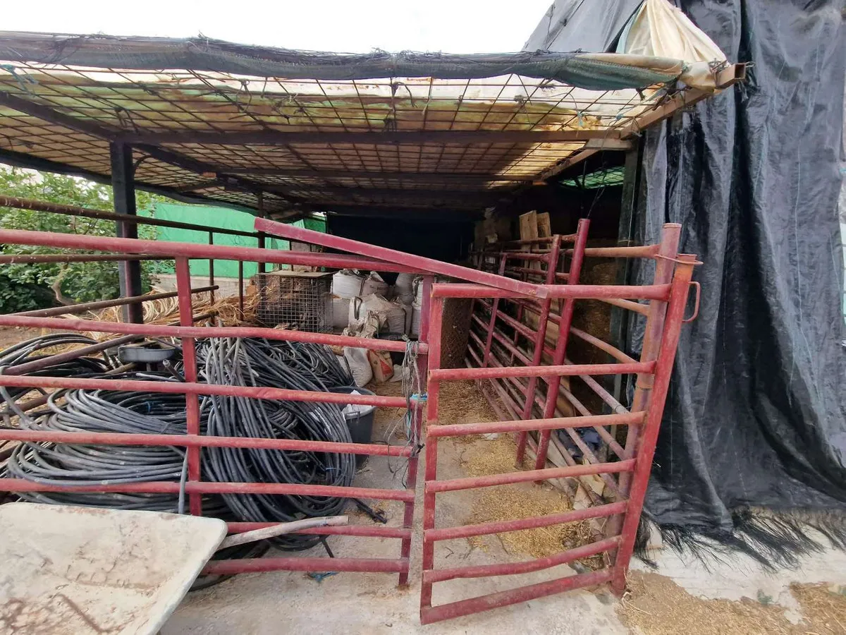 917e8981-1ee6-4a0b-8e72-7458a830acda