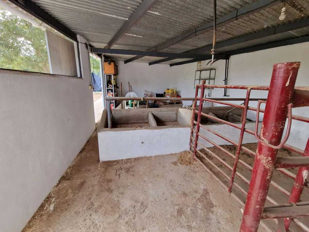 994d3508-1c68-4f67-a3e6-6b1162dea81c