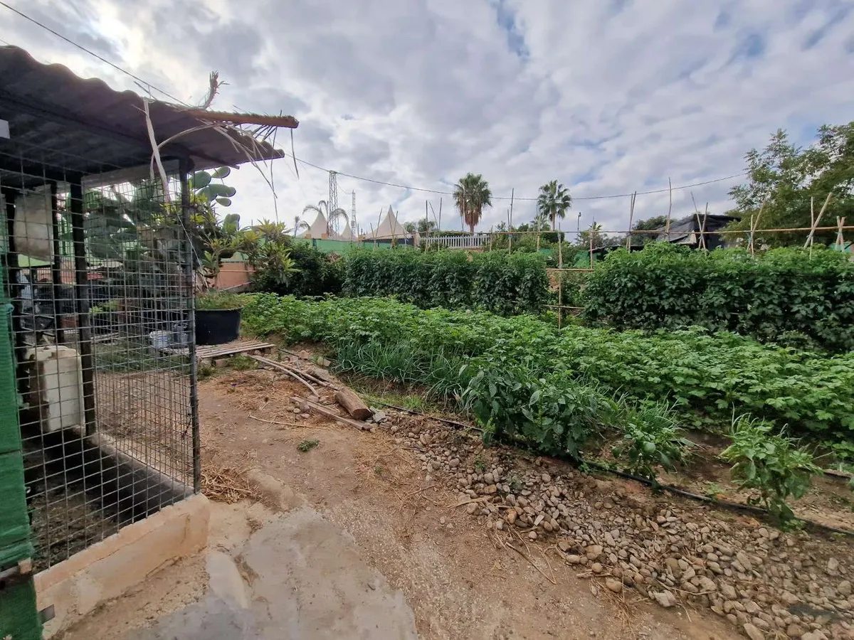 c3e89e8a-990f-4dda-8027-2186e291f91c