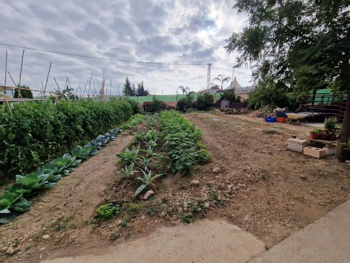 dc261026-669f-4132-aabf-498dc721ed84