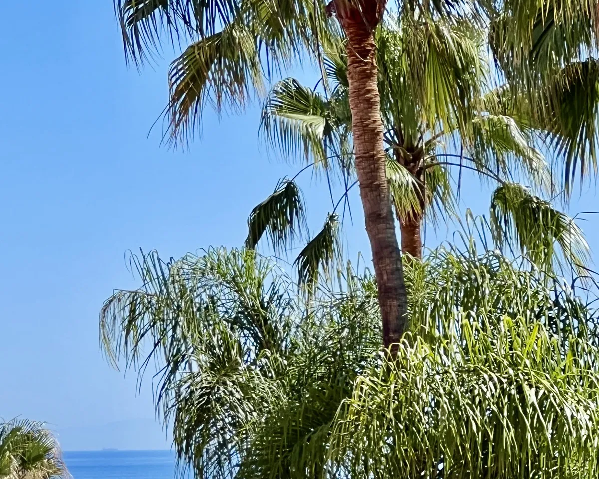 5206ce79-36e6-44aa-b521-d5498aa4edf5