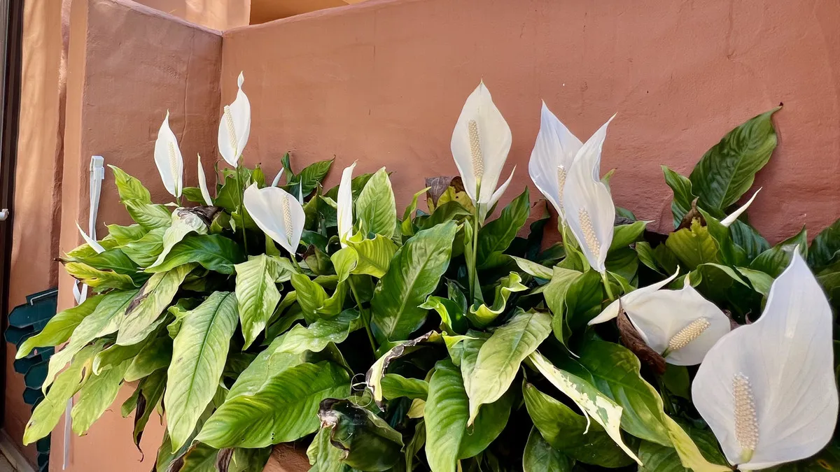 f7f7390e-74a9-406e-a7ea-723ab0ca83dd