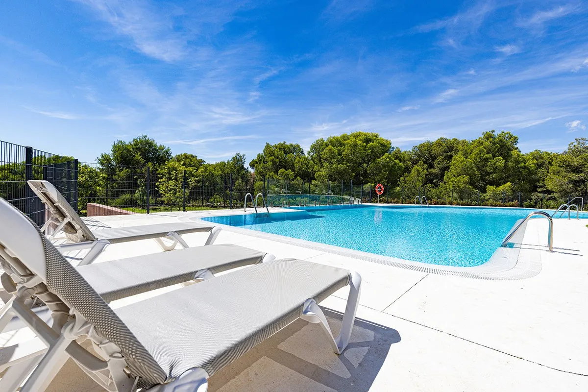 00e07b01-8653-4f87-8ba0-2e16826fe936