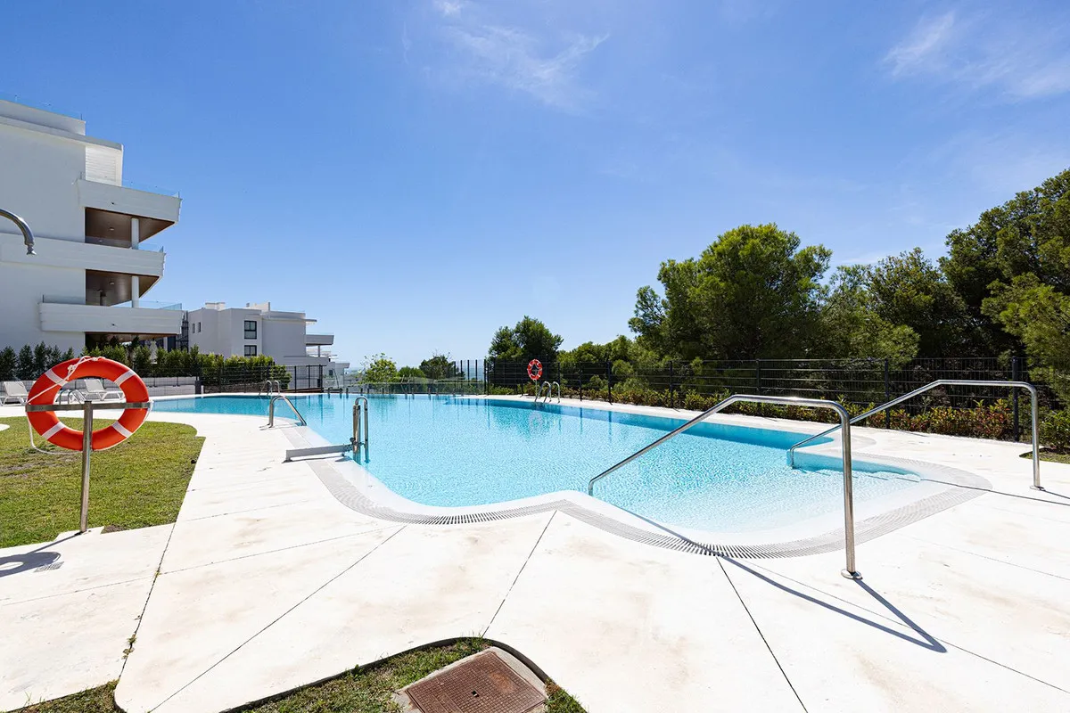 ca06cf25-72b6-4930-8b73-8bd0d15c5b78