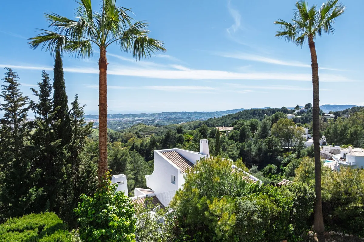 166c1909-df66-441d-85e7-8de799abb75d