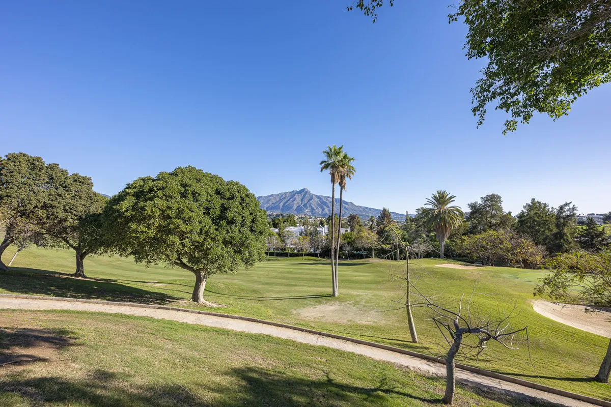 bbb2618d-066d-43e9-9006-238efd8f7b3c