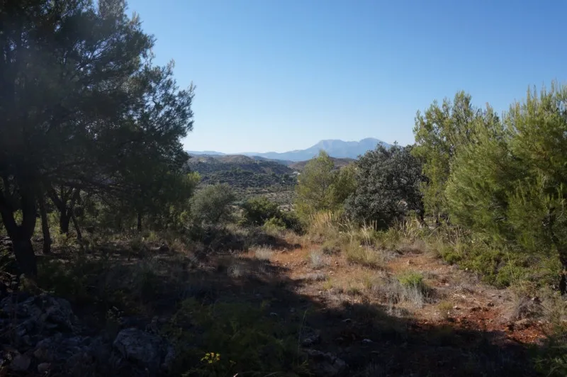 0cb96d95-4307-415f-9bbf-afb388041f1a