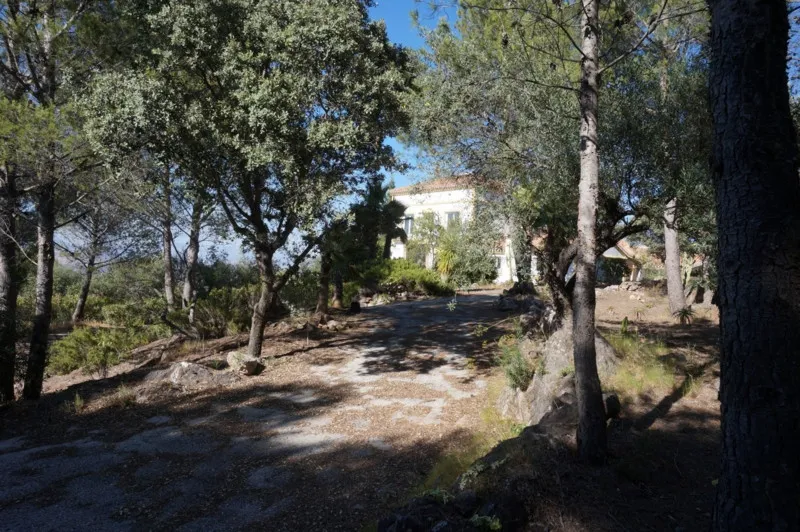 2b0878dd-ce02-4c34-9f88-36b7a550f6bc