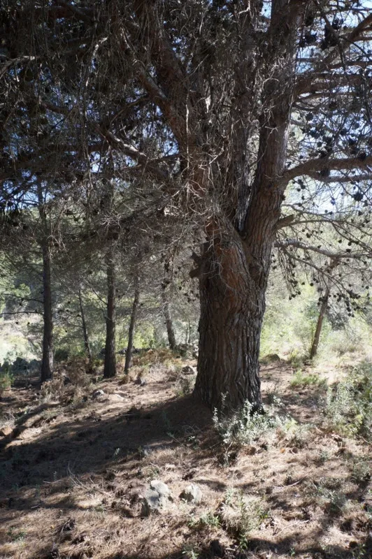 b26d9c79-6b61-4ce2-9634-04b389a1c369