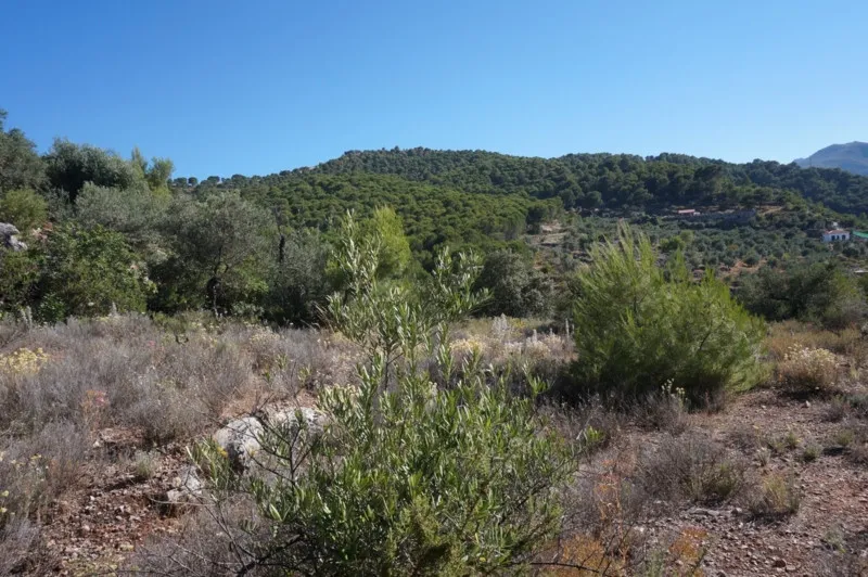 f1a8de4e-bb61-4231-8018-cd538226b8c1