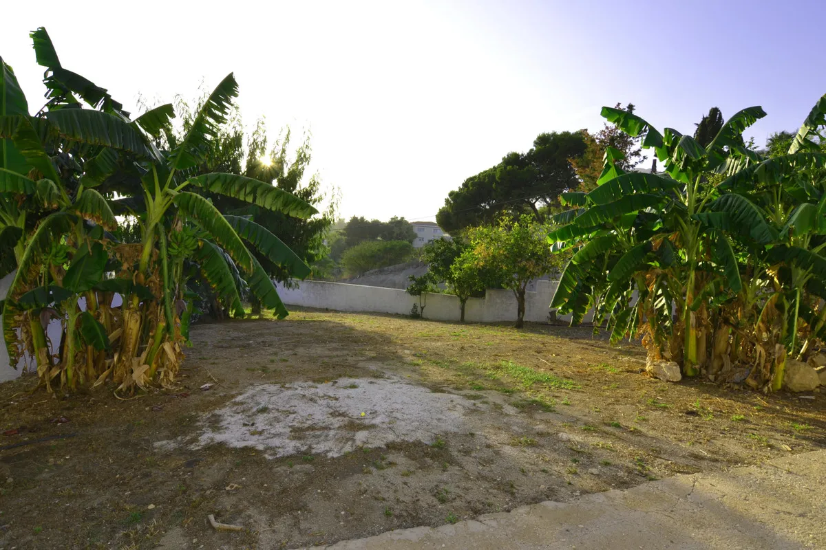 5a31d798-98ae-4912-aa84-29a771d9920f