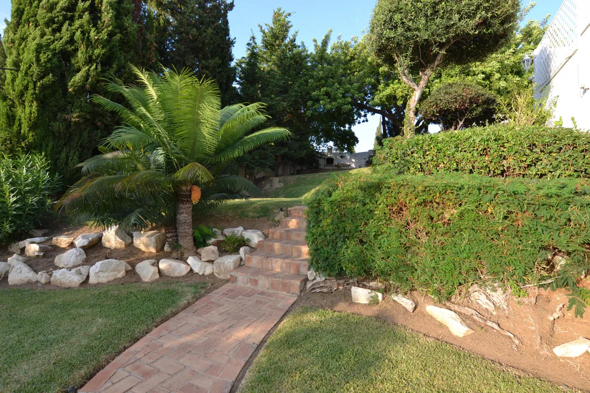 84833390-fefc-4a7a-b40d-0b8b52be4382