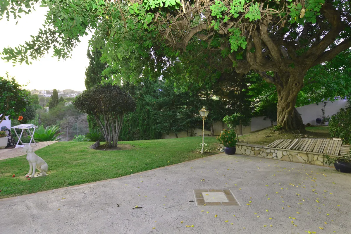 8a10f95e-8b54-44d7-ac57-d43bc82ccd46